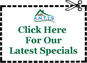 Dallas - Fort Worth Pest Control | A North Texas Termite ...