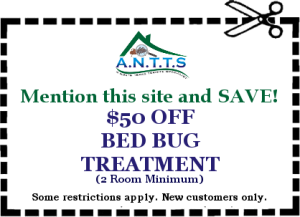 Dallas - Fort Worth Bed Bug Heat Treatment Coupons