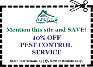 Dallas - Fort Worth Pest Control Coupons