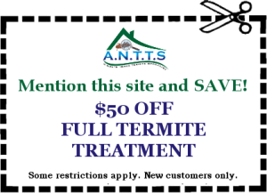 Dallas - Fort Worth Termite Treatment Coupons